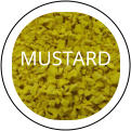 MUSTARD