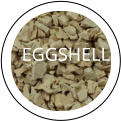 EGGSHELL