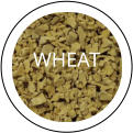 WHEAT