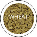 WHEAT
